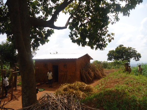 Mu rugo iwe haba hari imyaka yahinze n'ubwo abana n'ubwo burwayi (foto E. Musanabera)