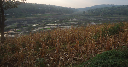 Amaterasi yakozwe ku misozi ikikije igishanga cya Rwasave.