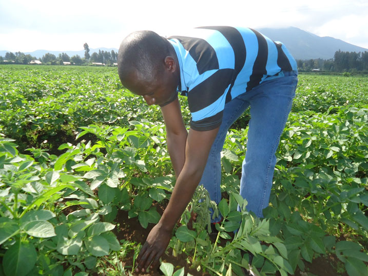 Musabyimana yemeza ko uwahinze atandukana n'ubukene burundu.