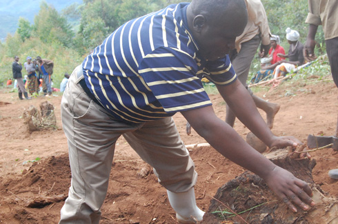 Mvuyekure Alexandre umuyobozi w'akarere ka Gicumbi arwana n'igishyitsi.