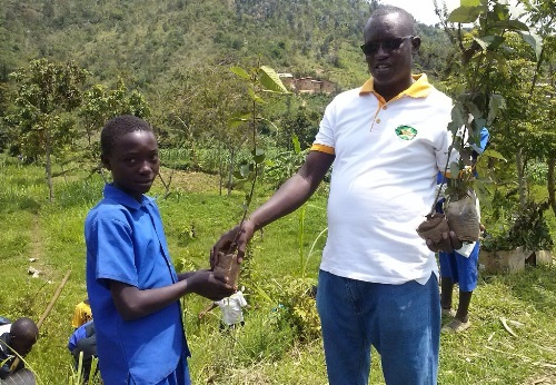 Ndoli ushiznwe irangamimerere ashyikiriza umwana igiti cyo gutera.