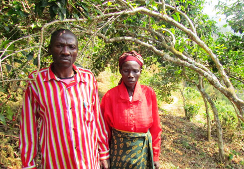 Ngezahoguhora Joseph n'umukecuru Caritas ni abahinzi ba kawa baduhaye ubuhamya ku iterambere yabagejejeho.