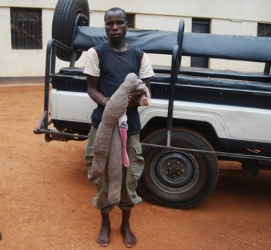 Nkweno ari mu maboko ya Polisi azira urumogi. (Photo:RNP)