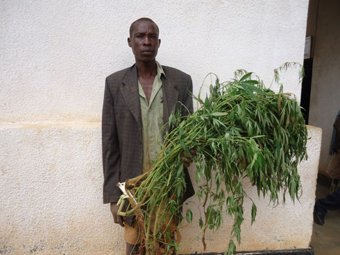 Ntaganira afite urumogi basanze arimo kurubagara ngo rukure neza.