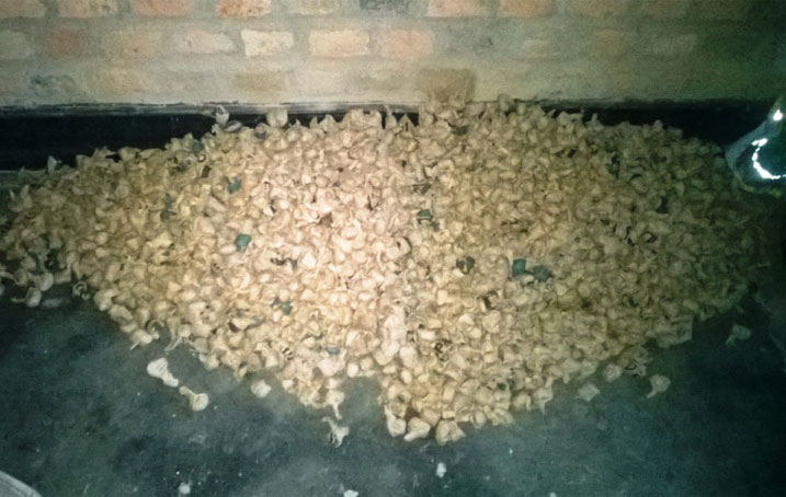 Ntambara yavanaga urumogi i Rubavu akarugeza i Karongi, rukajya gucururizwa i Kigali.