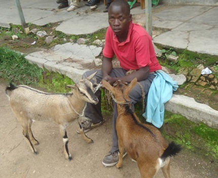 Nyandwi yiyemerera icyaha cyo kwiba ihene.