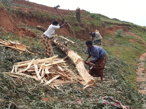 Nyirakariza yahisemo kwasa inkwi akajya azigurisha.