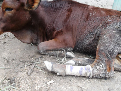 Nyiri iyi nka atekereza ko uwayitemye na we ubwe atamwifuriza amahoro.