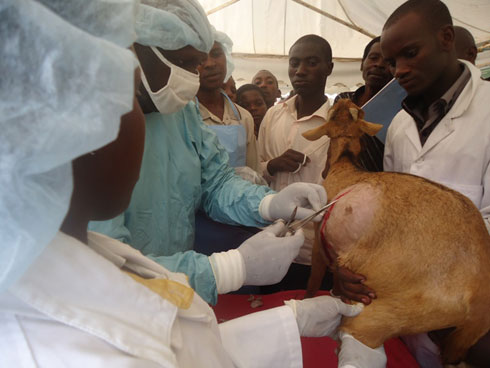 Nyuma yo kuritera ikinya hakurikiraho kuribaga kugira ngo bakemure ikibazo rifite.