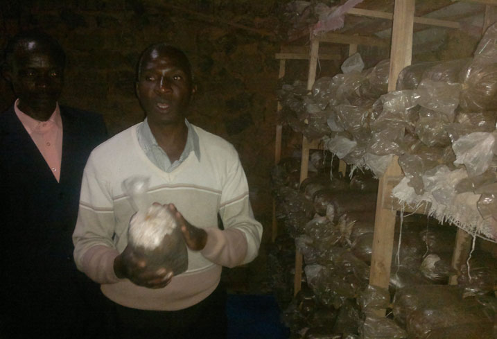 Perezida wa Koperative CAEG-Umugende asobanura uburyo umugina w'ibihumyo ukorwa.