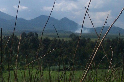 Iri shyamba ngo niryo ingabo za Congo ziza gushakamo inka Abanyarwanda baharagirira.