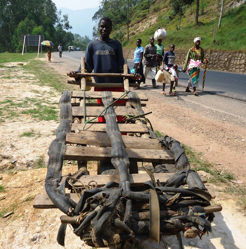 iyi ngorofani ikoze mu biti ikagira n