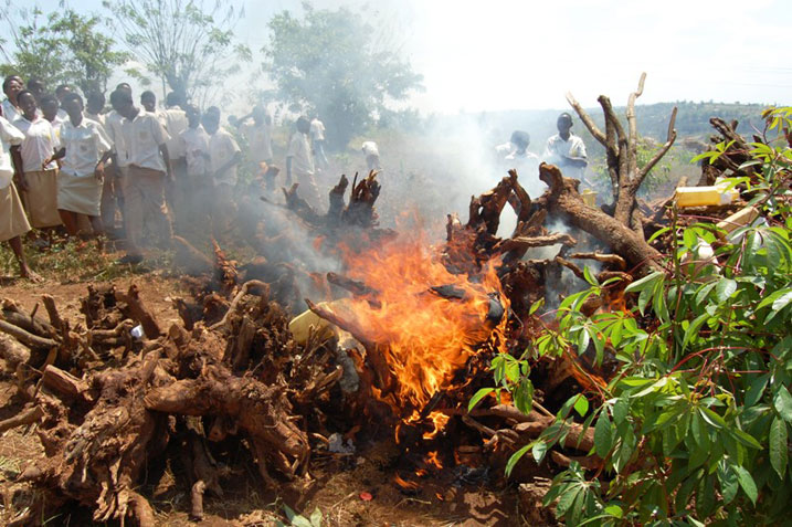 Toni 13 z'ibiti bya kabaruka (imishikiri) byatwikiwe mu ruhame, hatangwa ubutumwa ku kurengera ibidukikije.