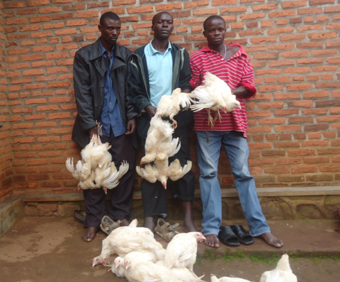 Bibye inkoko 18 z'abaturage.