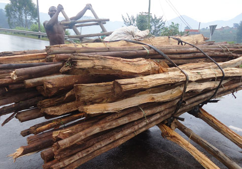 Ngo atwara imizigo benshi batakwigerezaho