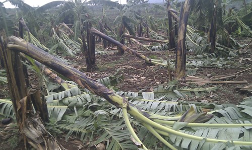 Ubukungu bwabo ngo bwahazahariye kuko bari batunzwe n