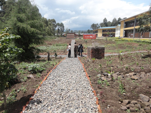 Ubusitani buhinzemo ibimera biri kugenda bizimira.