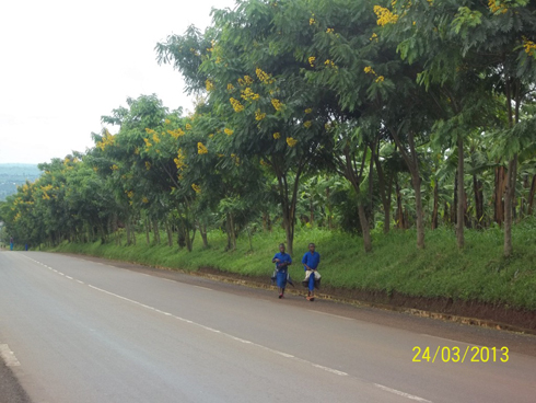 Ubusitani bwitiriwe Mutsindashyaka, i Munyiginya muri Rwamagana.