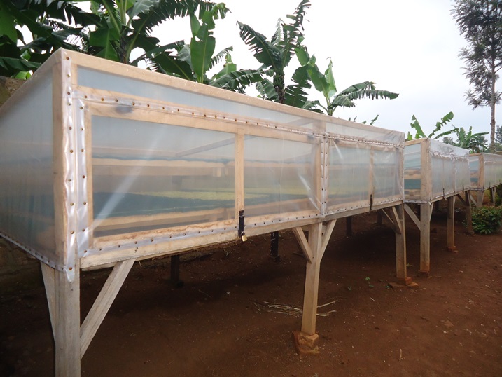 Muri ubu Bwumishirizo niho imyaka ibikwa.