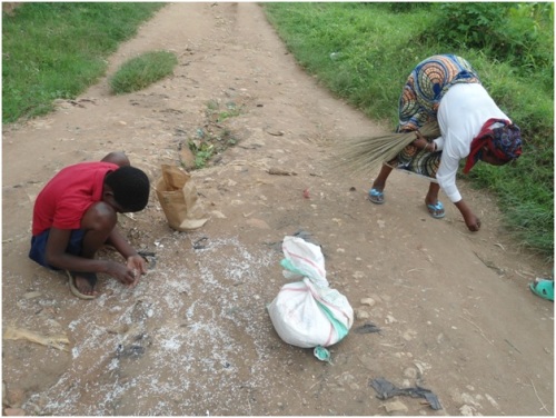 Umuceri bawutoye barawukukumba ntihagira n'intete yawo ihasigara (Photo: Jean Pierre T)