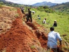 Abaturage bacukuye imirwanyasuri kuri hegitari eshatu. 