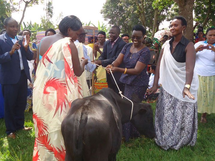 Umukuru w'umudugudu yagabiye inka itsinda ryamufashije kwesa neza imihigo ye.