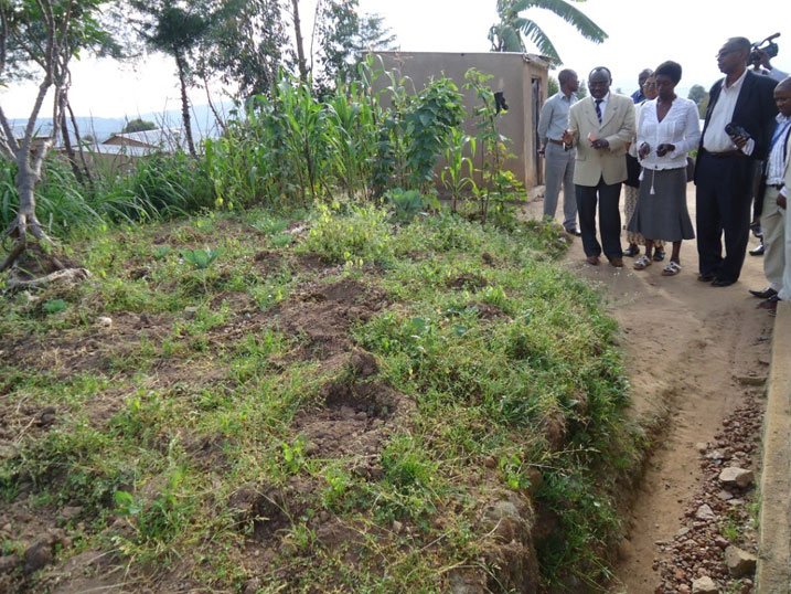 Umulisa Albertine umunyamabanga nshingwabikorwa w'akagari yaberekaga ko imboga zumye kubera izuba.