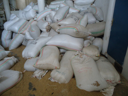 Umusaruro urimo kwangirikira mu bubiko bw'uruganda.