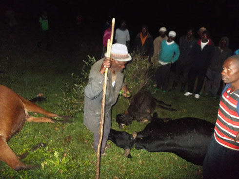 Umusaza w'imyaka 99 yabanje kuzigangahanura noneho abemerera kuzibaga.