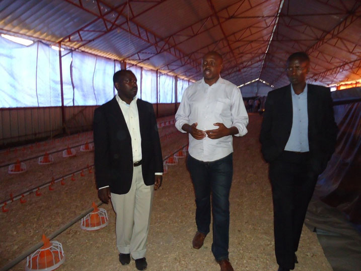 Umushoramari Haguminshuti (hagati) atambagiza umuyobozi w'akarere aho yororera inkoko ze.