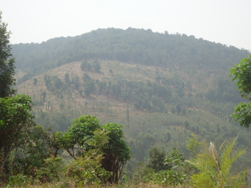 Umusozi wa Kinyamakara. Aho basengera mu gasongero kawo ahari ishyamba.