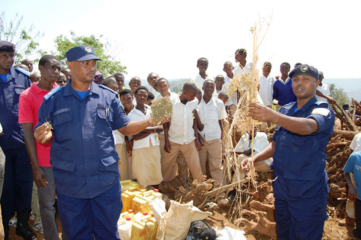 Umuvugizi wa Polisi y'igihugu mu Ntara y'Iburasirazuba, S. Supt Benoit Nsengiyumva n'Umuyobozi wa Polisi muri Rwamagana, Supt Richard Rubagumya, bereka abanyeshuri urumogi n'igiti cyarwo.