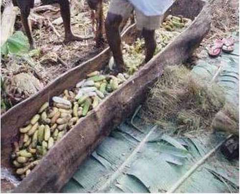 Abatabaye bamwirukankanye ajya mu rutoki yiyubikaho umuvure bengeramo.