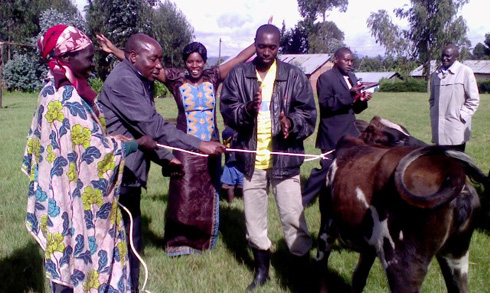 Umuyobozi w'akarere ka Burera agabira inka umwe mu baturage.