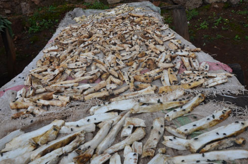 Umwe mu myanda aba bagore bazira.