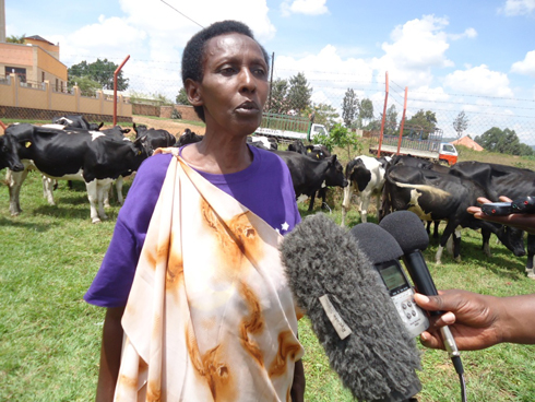 Umwe mu baturage worojwe inka. 