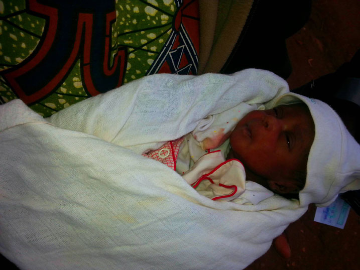 Uruhinja batoye mu ishyamba mu karere ka Gicumbi.