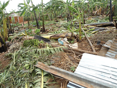 Urutoki narwo rwarangiritse