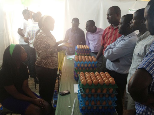 Uwo mugore yaretse akazi yari afite yaka inguzanyo BRD none ubu acuruza amagi ku rwego rwo hejuru.