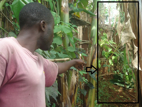 Uyu mugabo arerekana aho uwo mugabo yasimbukiye igikari (imbariro zavunitse n