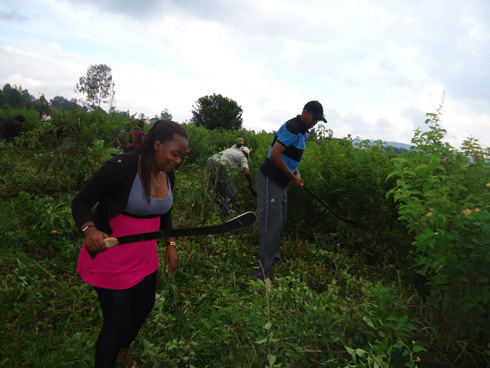 Abakozi ba WDA bishimiye uwo muganda bakoraga ku kigo TSS Nyamata.
