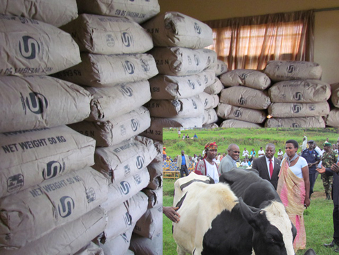 Hatanzwe imifuka 300 ya sima n'inka.