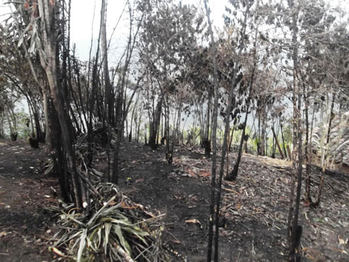 Yatanze kawa ze zisimbura izahiye, abandi abishyura amafaranga.