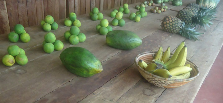 Zimwe mu mbuto umusaza Mutsinzi ahinga.