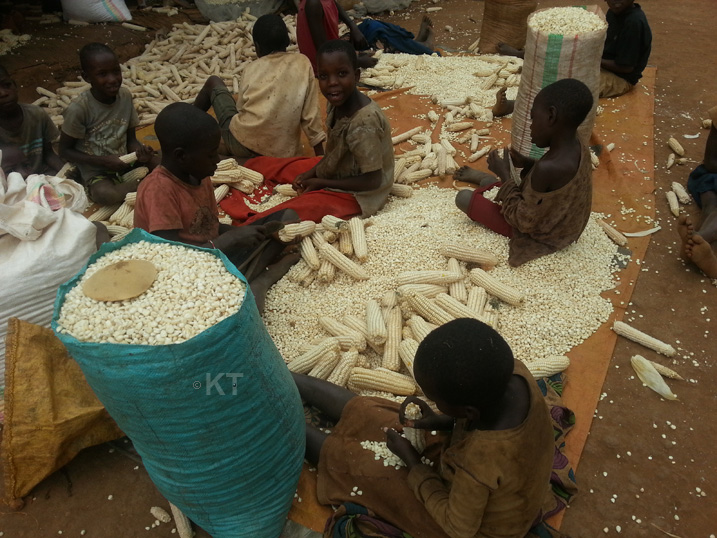 Aba bana iyo bahungura ibigori baba bashishikaye