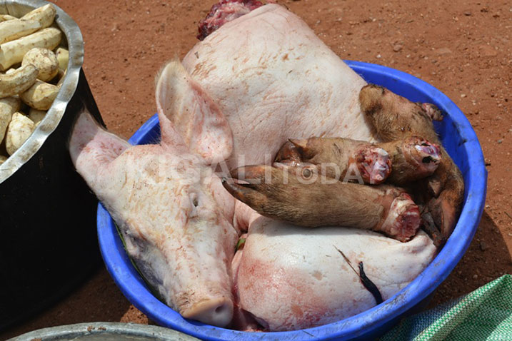 Ababagaga iyi ngurube ntibigeze bayipimisha ngo barebe niba irwaye cyangwa ari nzima.