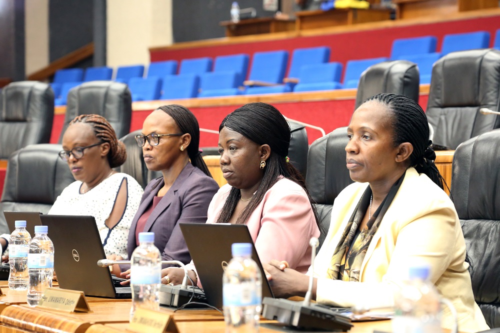 Abadepite bahawe ibisobanuro