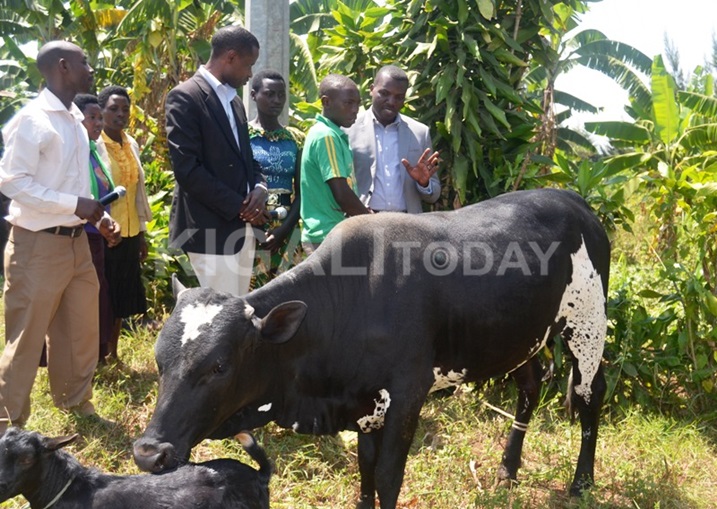 Abagabiwe inka n'andi matungo magufi basabwe kuzifata neza.