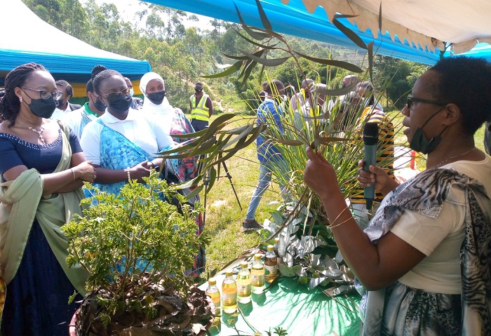 Abagore bo muri Gakenke bakataje mu mishinga ifitanye isano no kurwanya ingaruka z'imihindagurikire y'ibihe