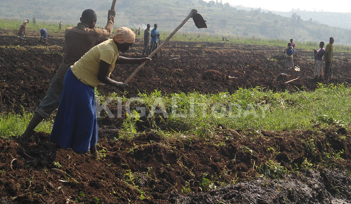 Abahinga mu bishanga bavuga ko biri kubateza imbere.